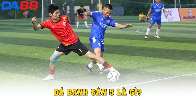 Đá banh sân 5 là gì?